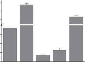 pathways (Zouboulis et al., 2002; Zouboulis and Bohm, 2004; Alestas et al., 2006; Zhang et al., 2006; Dobrosi et al., 2008; Tóth et al.