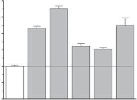 TGéczy et al. PKC Isoforms Regulate Human Sebocyte Biology suppressed cellular viability and induced apoptosis (but not necrosis) (Figure 4e).