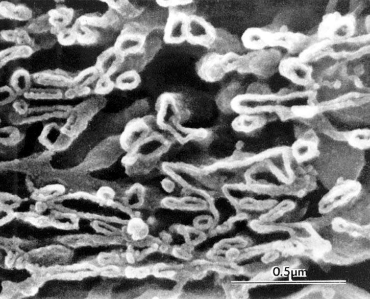 SER (scanning electron microscopy) kevésbé rendezett, mint a DER Szintetikus folyamatok: