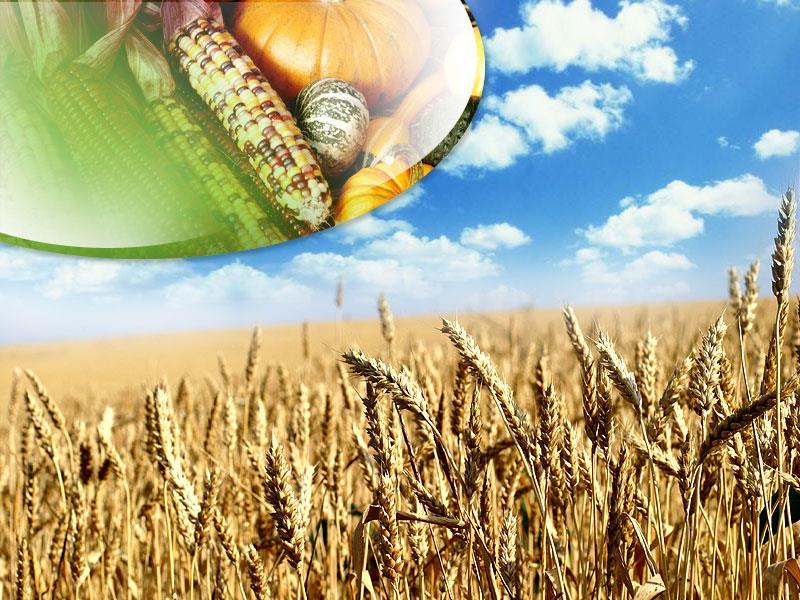 Burgenland mezőgazdasága és vidékfejlesztése A