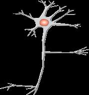 Myocardiális infarktus túlélés Hypertonia