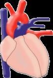 betegségek Rheumatoid artritis Emlő,