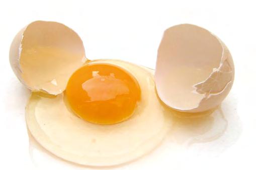 Që të arrijmë një rezultat të qëndrueshëm kemi nevojë për një ndryshim të vërtetë të mënyrës së jetesës, elementët bazë të së cilës janë: 1. krijimi i një diete që i përshtatet personit 2.