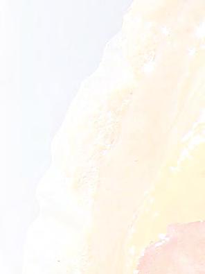 normale të aparatit të zorrëve, është i domosdoshëm gjatë dietës.