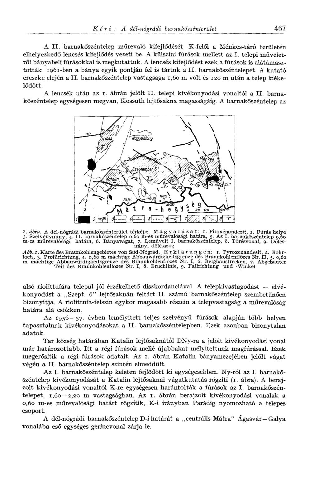 Kéri: A dél-nógrádi barnahőszénterüleí 467 A II. barnakőszéntelep műrevaló kifejlődését K-felől a Ménkes-táró területén elhelyezkedő lencsés kifejlődés vezeti be. A külszíni fúrások mellett az I.