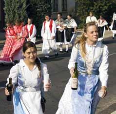 Der südliche, südöstliche Teil unserer Kleinregion fällt zum einen Teil auf die westliche Kleine Ungarische Tiefebene, zum anderen Teil auf die Ebene -Vas.