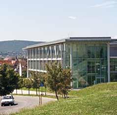The service sector, trade and finance are also important in our micro-region. The divisions of the Hungarian Telekom and the Hungarian Post also play an important role in the region.