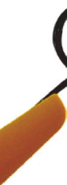 I LED del telaio cominciano a lampeggiare. Per permettere al sistema - giroscopio di inizializzarsi, il modello deve essere posato su una superficie piana. Accendere il trasmittente. 3.