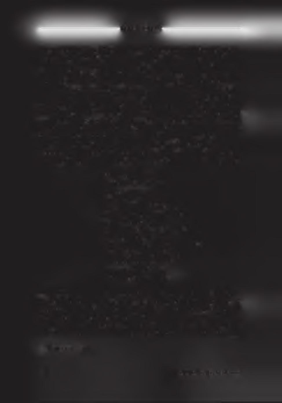 -------------------------------------------------------- K É K ESI Z O L T Á N -------------------------------------------------------- interpretáció így hangzik: O n történetet akart, és én elmondok