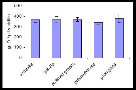 g Cu/g dry biofilm Zn és Cu koncentrációja a különböző hordozókon kialakult biofilmekben 80 60 40