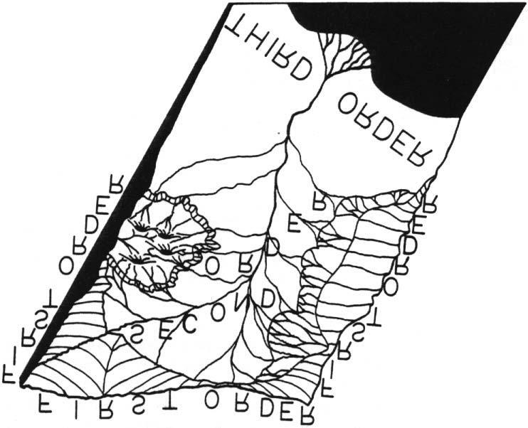 (2001)