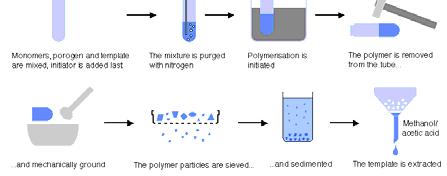 Molekuláris lenyomatok (molecularly imprinted polymers, MIP) A molekuláris lenyomatok készítésének módszere Kovalens imprint (lenyomat) készítése fenil α D mannozid számára vinil fenil bórsav il il