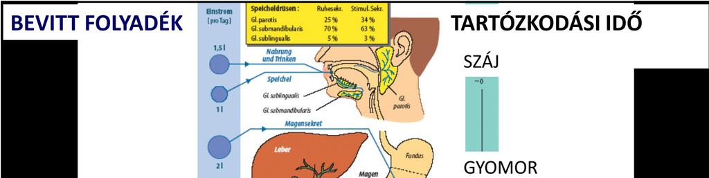 Nyomelem Hatásterület, Biokémia Hiánytünet Toxicitás Vas (Fe) Jód (I) Fluor (F) Hb, mioglobin, enzimek anémia, fáradtság,