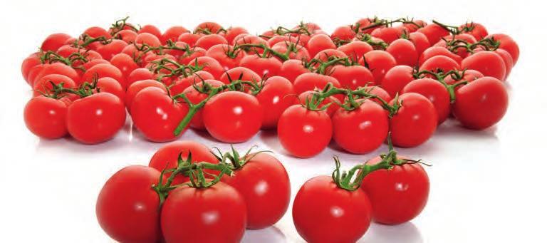 SALÁTA 200 g (995 /1 kg)
