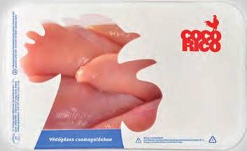 SZENTANDRÁSI POKOL