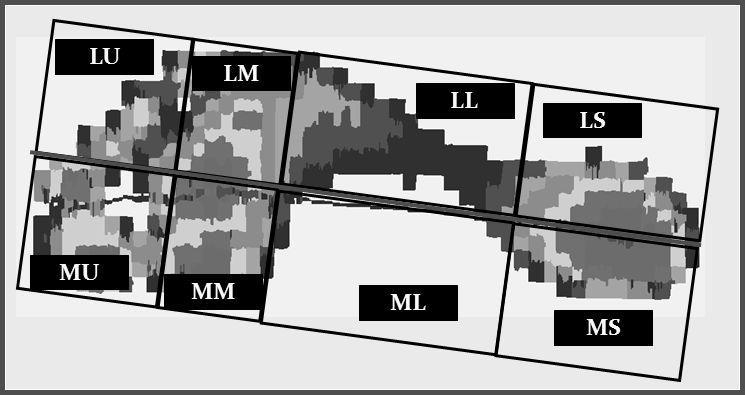 belül: kontakt terület (cm²; %), csúcs-nyomás (N/cm²), maximális erő (N), kontakt idő (ms;%), nyomás-idő integrált mennyisége (Ns/cm²).