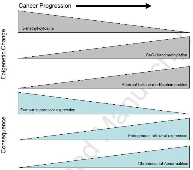 Epigenetic