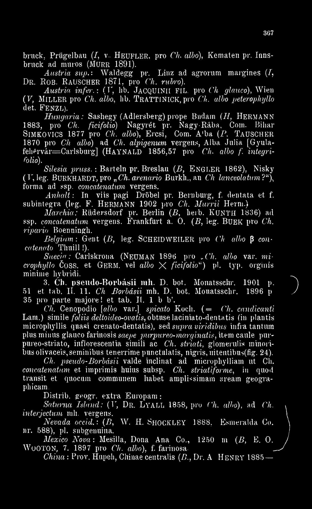 albo peterophyllo det. Fenzl). Hungária: Sashegy (Adlersberg) prope Budám (H Hermann 1883 pro Ch. ficifolio ) Nagyrét pr. Nagy- Rába Com. Bihar SiMKOVICS 1877 pro Ch. albo) Ercsi Com.