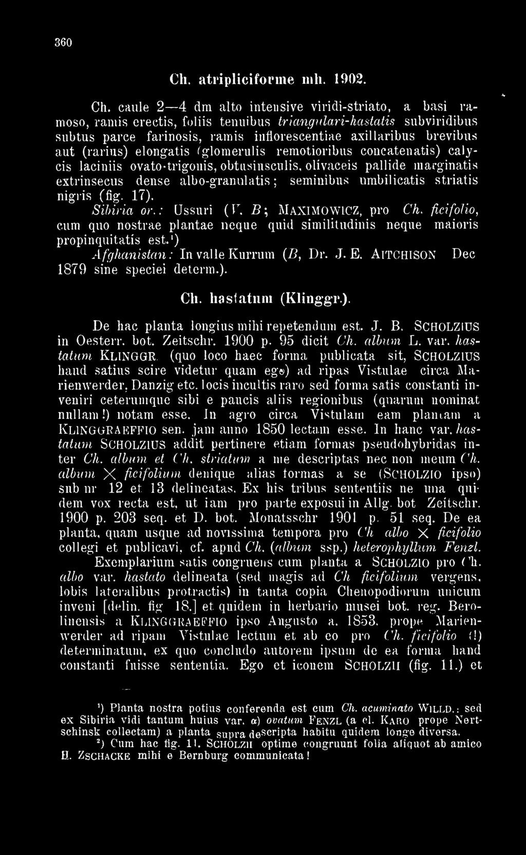 (fig. 17). Sibiria or.: Ussuri (F B\ Maximowicz pro Ch. ficifolio c.um quo nostrae plantae neque quid similitudinis neque maioris propinquitatís est. 1 ) Afghanistan: In val le Kurrum ( B Dr. J. E.
