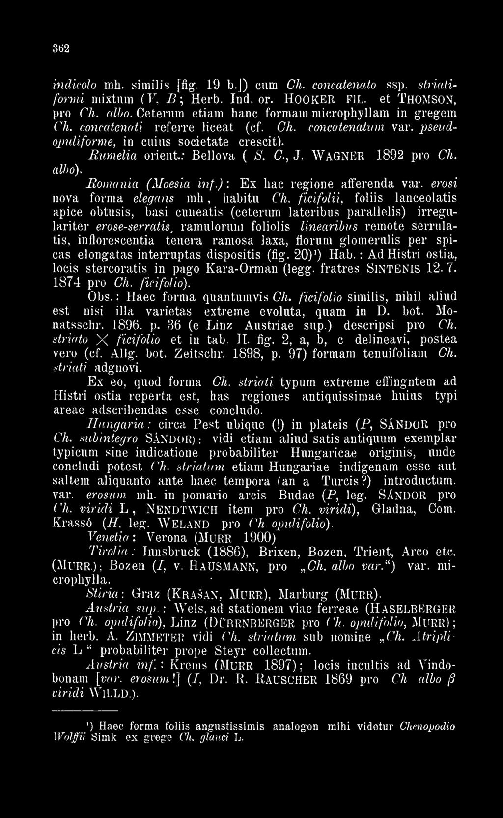 Rumelia orient.: Bellova ( S. C. J. WAGNER 1892 pro Ch. alho). Románia (Moesia inf.) Ex hac régióné afferenda var. erosi nova forma elegáns mh liabitu Ch.