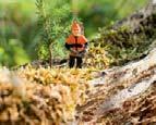 Ráadásul a STIHL gépek rendkívül kedvezô áron kaphatók tavaszi akciónk