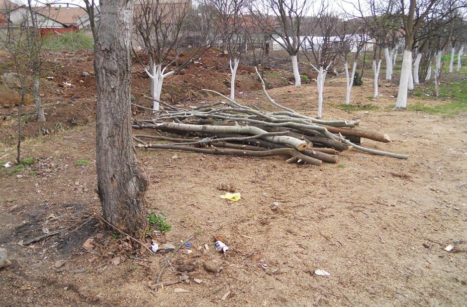 Un nou local a prins viață în Piața Avram Iancu, vis-a-vis de fosta stație de salvare, unde chişeuanii vor putea servi minuturi și băuturi. Succes!
