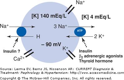 Napi káliumforgalom: Felvétel: Táplálék: 50-100 mmol/nap összesen: 50-100 mmol/nap Leadás: Vizelet: 45-90 mmol/nap Széklet, verejték: 10 mmol/nap összesen: 50-100 mmol/nap A GIS felszívódás NEM