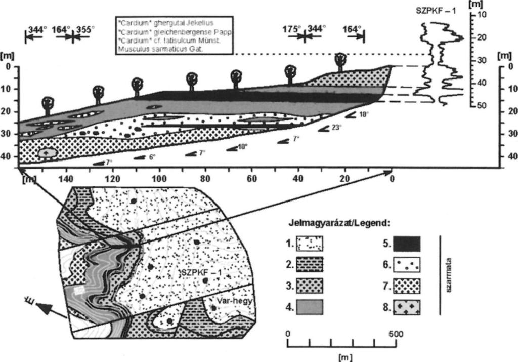 The site of the borehole SzPKF-1 and the stratigraphie position of the index fossils are also marked. Legend: 1. Sand, sandy silt, 2. Clayey silt, clay, 3. Bentonitized rhyolite tuff, 4.