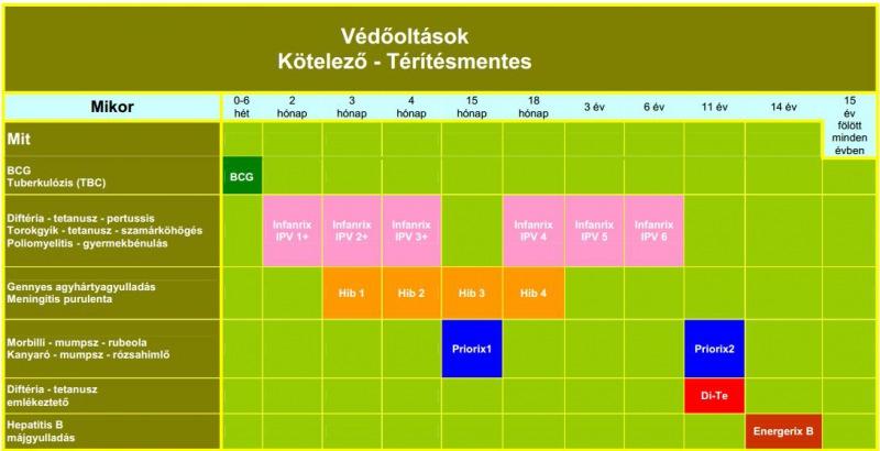 (most még) nem kell megtanulni A specifikus immunválasz fázisai 1. felismerés 2. mozgósítás 3. elimináció 4.