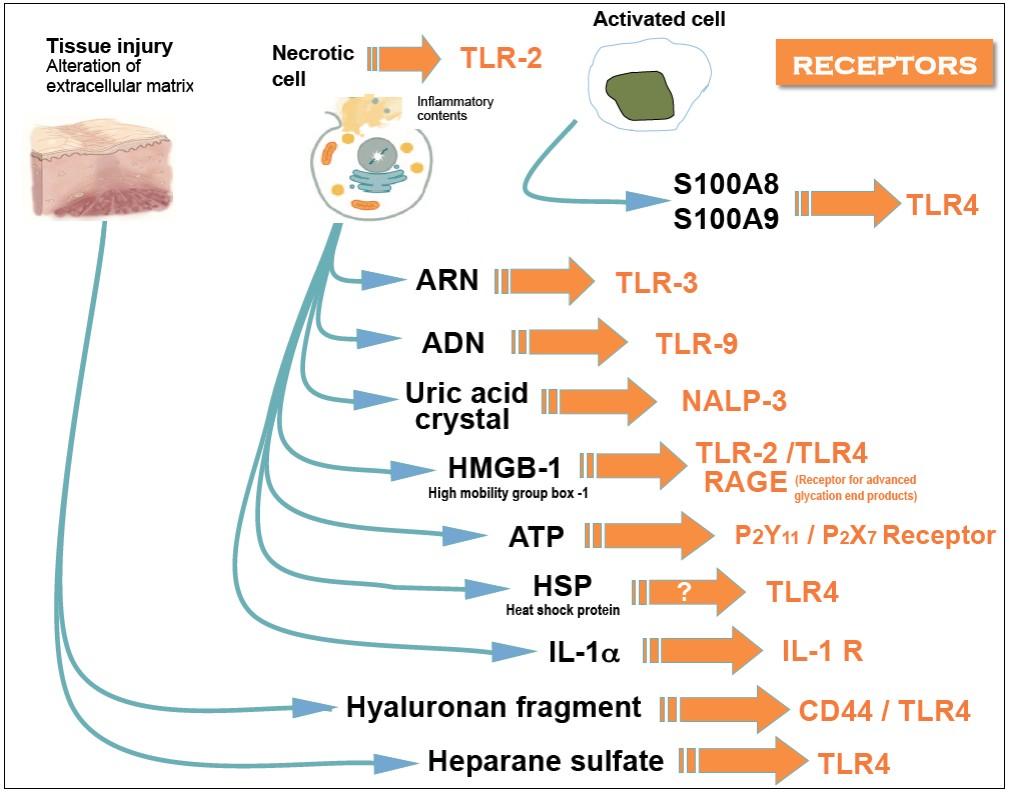 Pathogen Associated