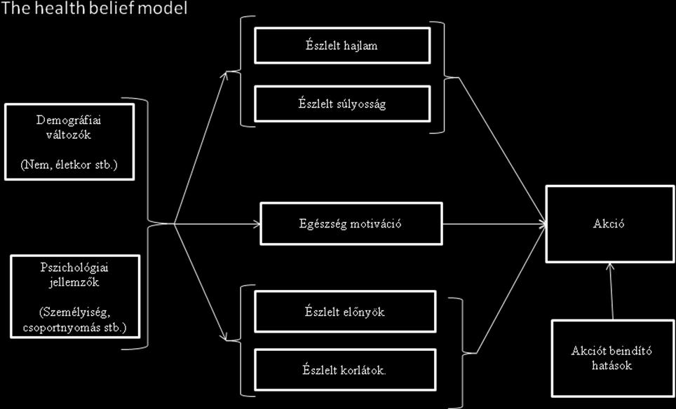 2. ábra: The health belief model Forrás: Pascosolido, B.