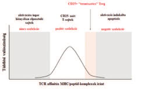 KONGRESSZUSI ÖSSZEFOGLALÓK / CONGRESS ABSTRACTS cell population to GC treatment.
