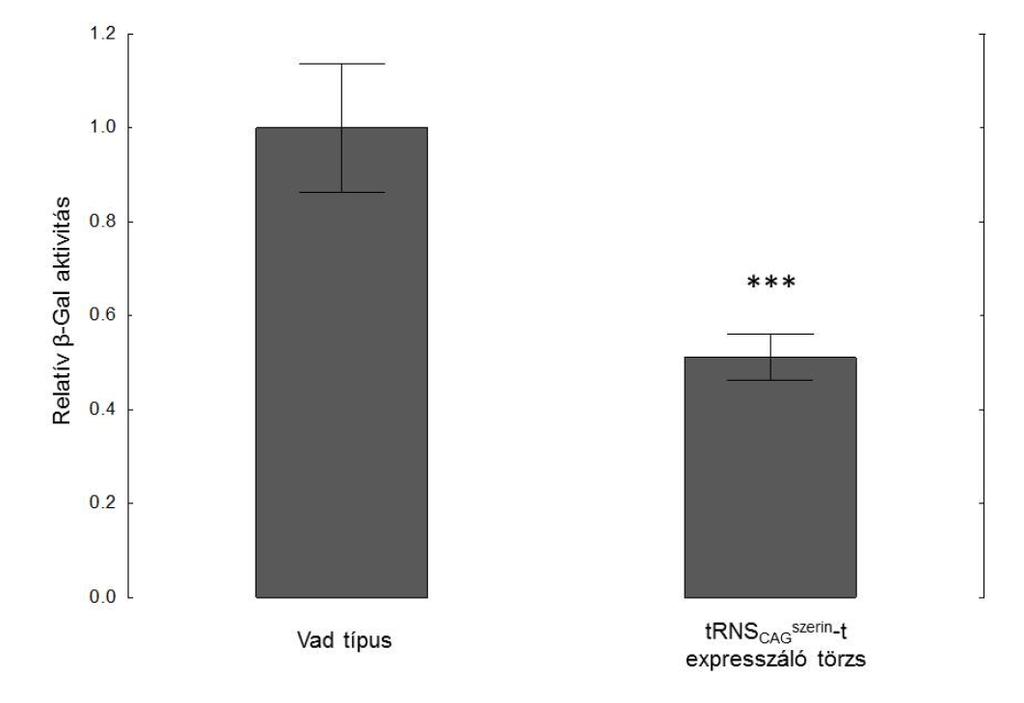 mutáns trns expressziója szignifikáns, 62%-os β-galaktozidáz enzim aktivitás csökkenést eredményezett (7. ábra). 7. ábra. A trns szerin CAG expresszió hatása a transzlációs hibarátára.