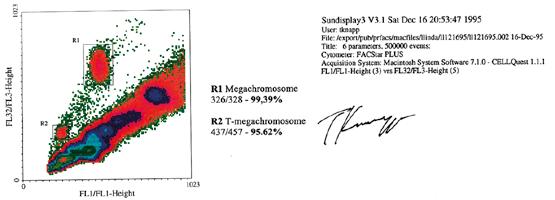 Ebből a tulajdonságukból adódóan a szatellit DNSalapú mesterséges kromoszómák (SATAC) gyakorlatilag 100%-os tisztaságban elválaszthatók a természetes kromoszómáktól kettős, lézervezérlésű áramlásos