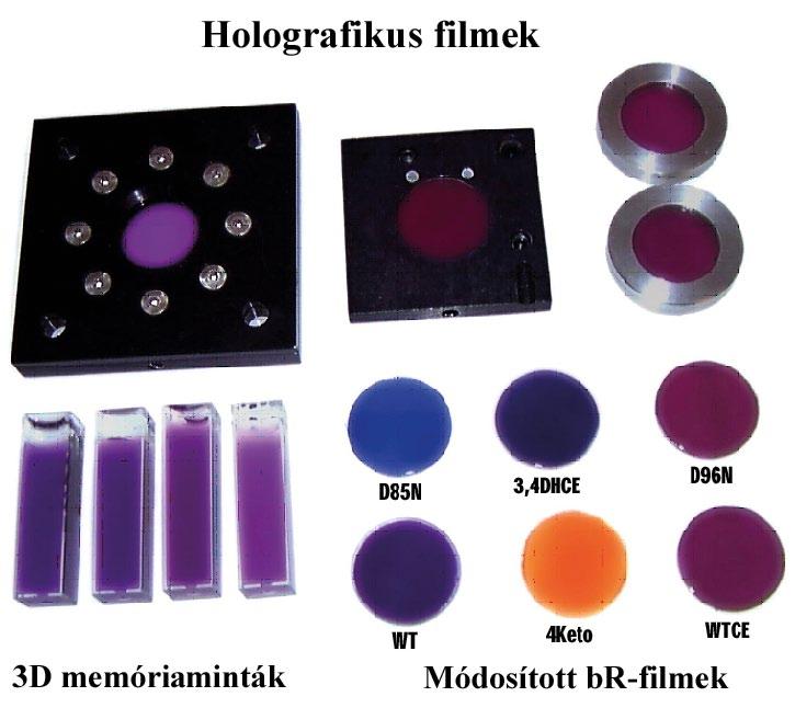 Biofizika anyag kifinomult funkcióit egyszer képesek leszünk a technika szolgálatába állítani. Ma úgy fest, hogy az álom hamarosan elérhető közelségbe kerül.
