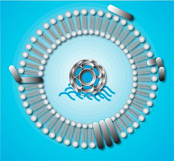 Biofizika rofób és hidrofil oldalláncú aminosavak is.