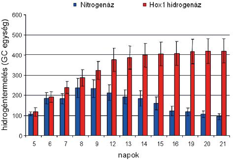 2010-re kiderült, hogy a Thiocapsa-ban összesen 5 hidrogenázt kódoló géncsalád van, ezek közül legalább négyről aktív fehérje keletkezik.