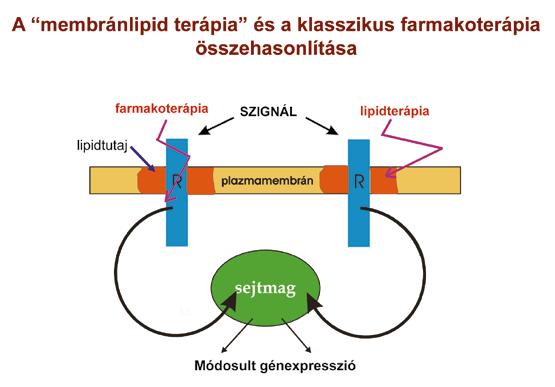 szólóan kidolgozható, hogy az illető sajátos mintázatú lipidállománya alapján bizonyos betegségei kezelésére milyen gyógyszerkombináció alkalmazása a legmegfelelőbb.