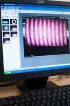 vizsgálat A tesztjelentésnek a következőkre kell kitérnie: A