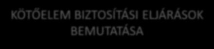 KÖTŐELEM BIZTOSÍTÁSI ELJÁRÁSOK BEMUTATÁSA Köszönöm a