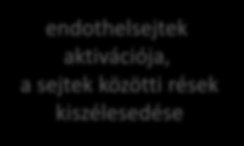 komplementrendszer aktiválódása, C3a, C5a, C5b-9
