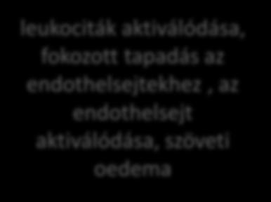 keletkezett IC-k aktiválják a
