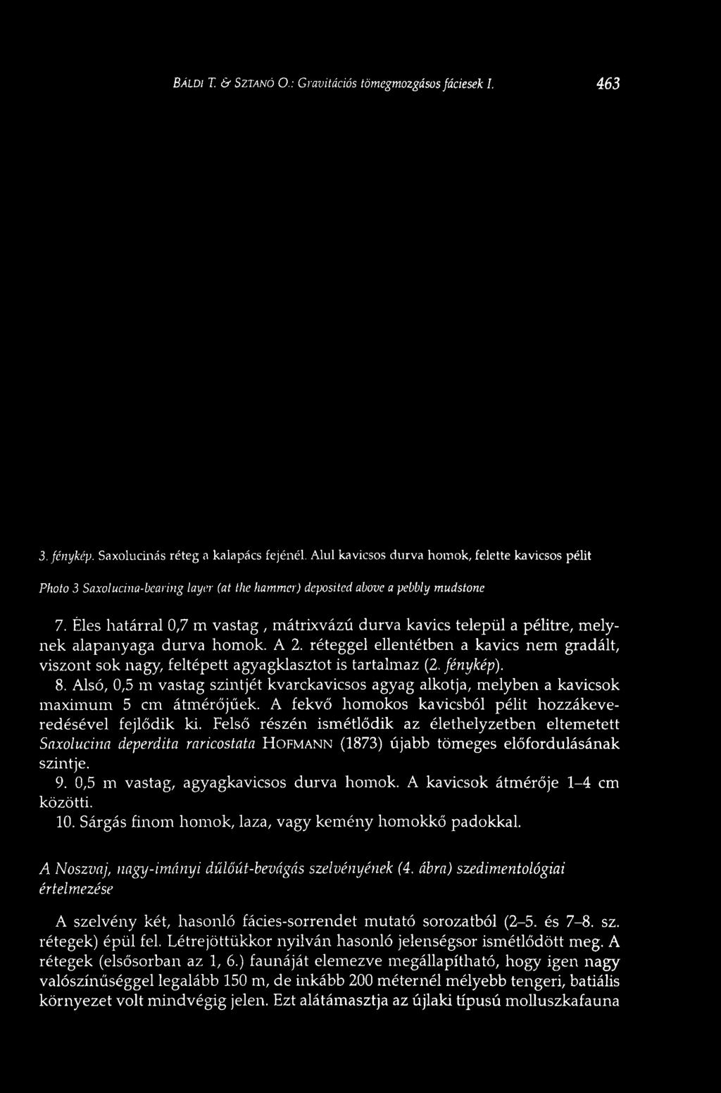 BÁLDI T. ev SZTANÓ О.: Gravitációs tömegmozgásos fáciesek I. 463 3. fénykép. Saxolucinás réteg a kalapács fejénél.