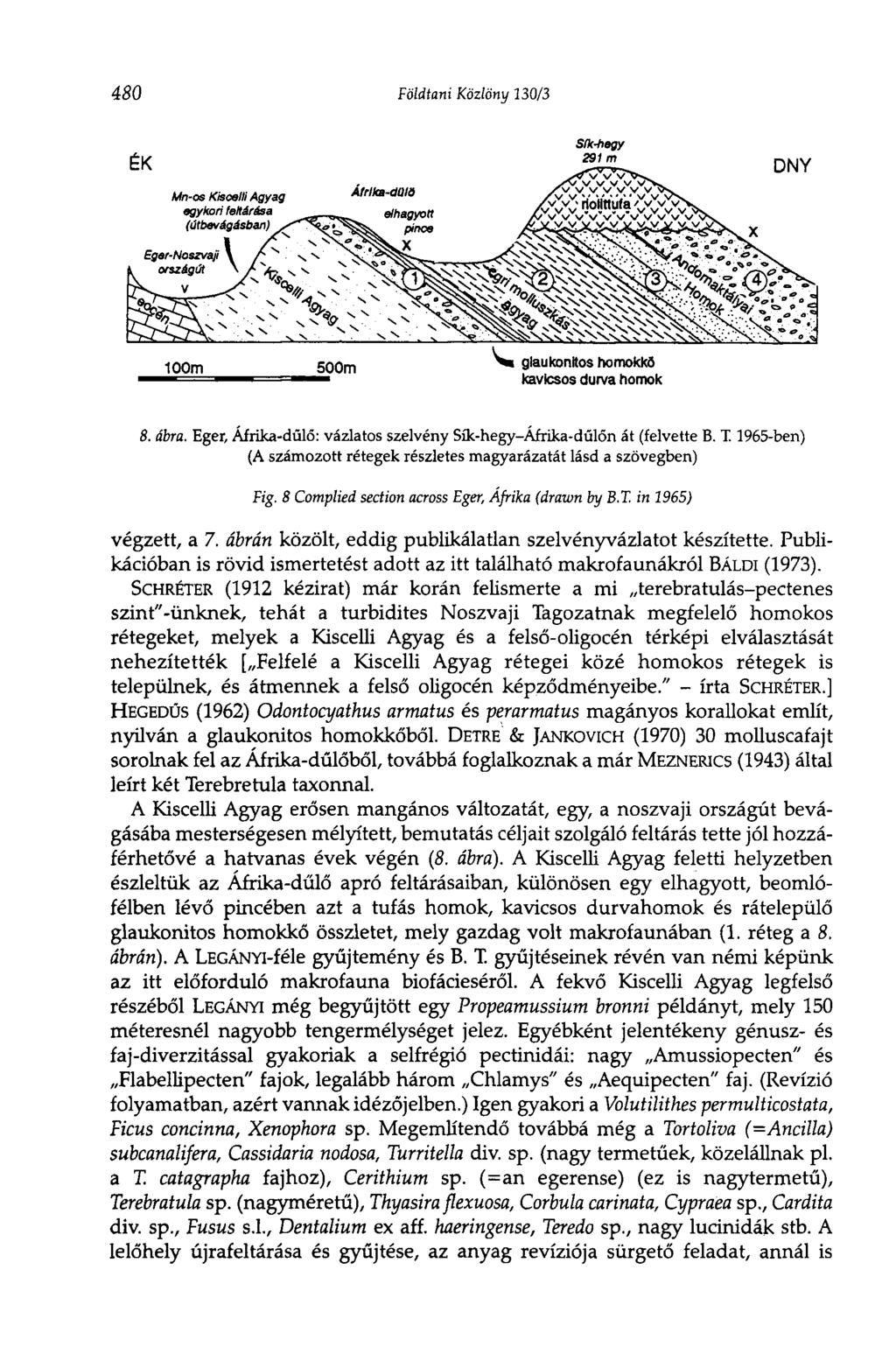 480 Földtani Közlöny 130/3 SíkJiegy 8. ábra. Eger, Afrika-dűlő: vázlatos szelvény Sík-hegy-Afrika-dülőn át (felvette B. T. 1965-ben) (A számozott rétegek részletes magyarázatát lásd a szövegben) Fig.