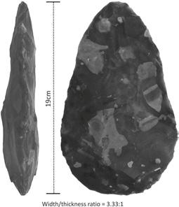 Lycett et al. 2015 nyomán.