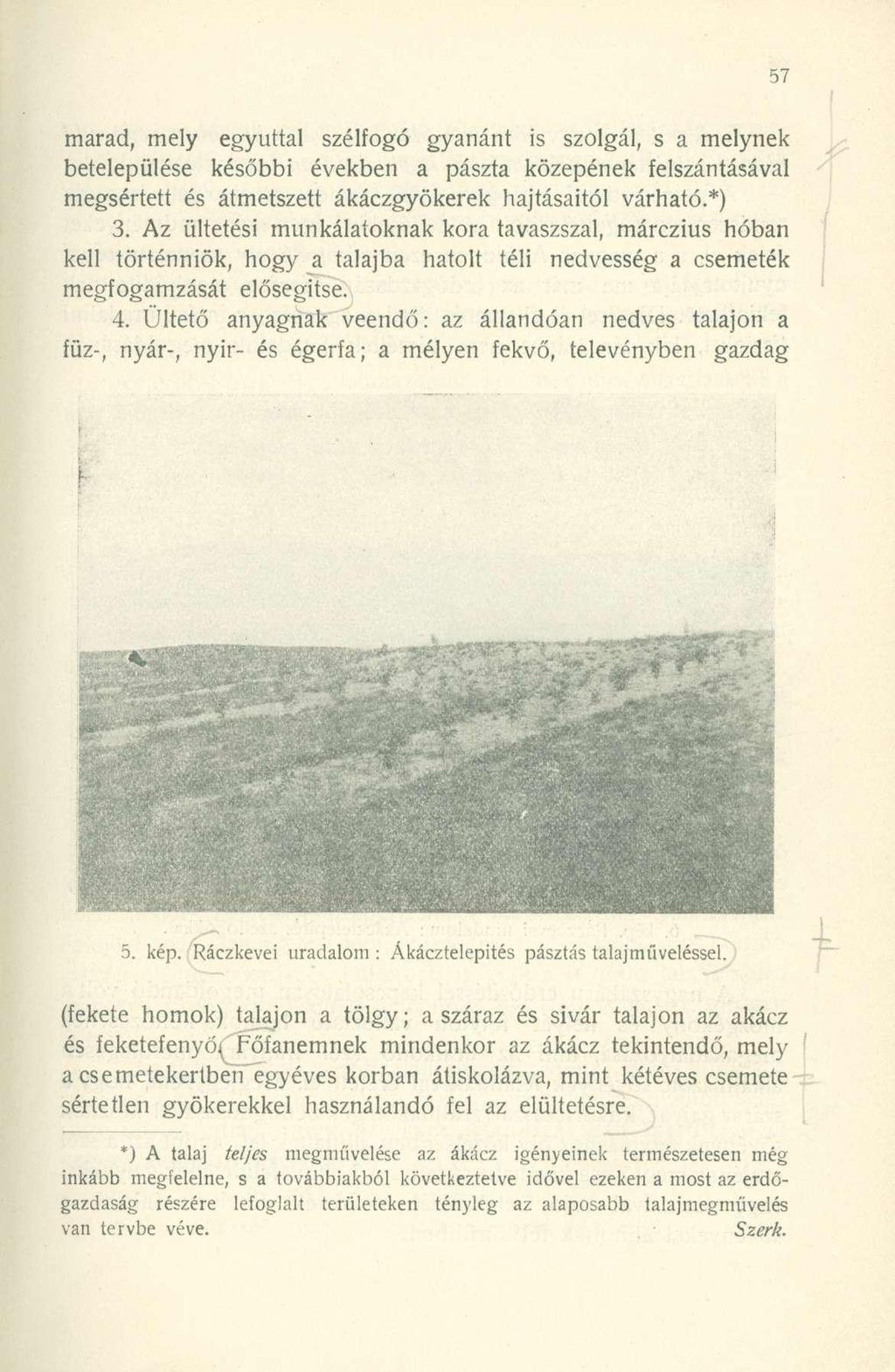 marad, mely egyúttal szélfogó gyanánt is szolgál, s a melynek betelepülése későbbi években a paszta közepének felszántásával megsértett és átmetszett ákáczgyökerek hajtásaitól várható.*) 3.