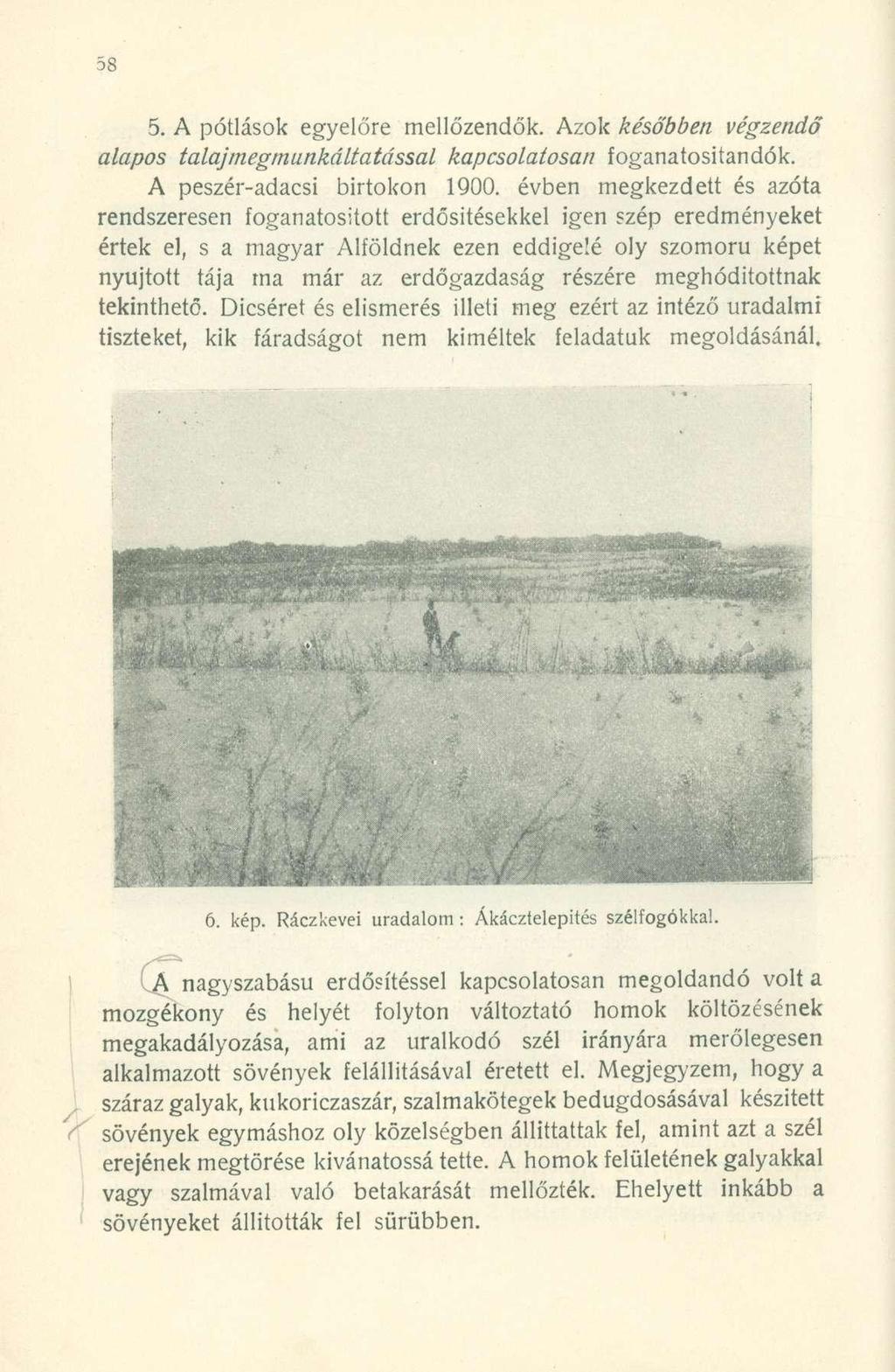 5. A pótlások egyelőre mellőzendők. Azok későbben végzendő alapos talajmegmunkáltatással kapcsolatosan foganatositandók. A peszér-adacsl birtokon 1900.