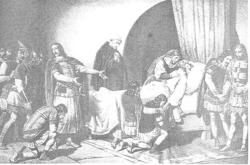 Хуњадија. (кат. IV, 1.4).
