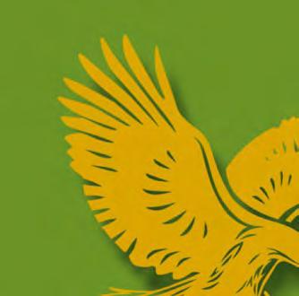 Forever Living Mađarska d.d.o. obavlja svoju seriju takmičenja FLP zvezde.