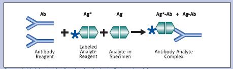 immunoassay-ben és a szendvics formátumban Jelölt